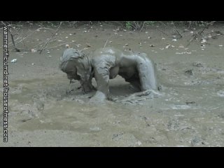 mud